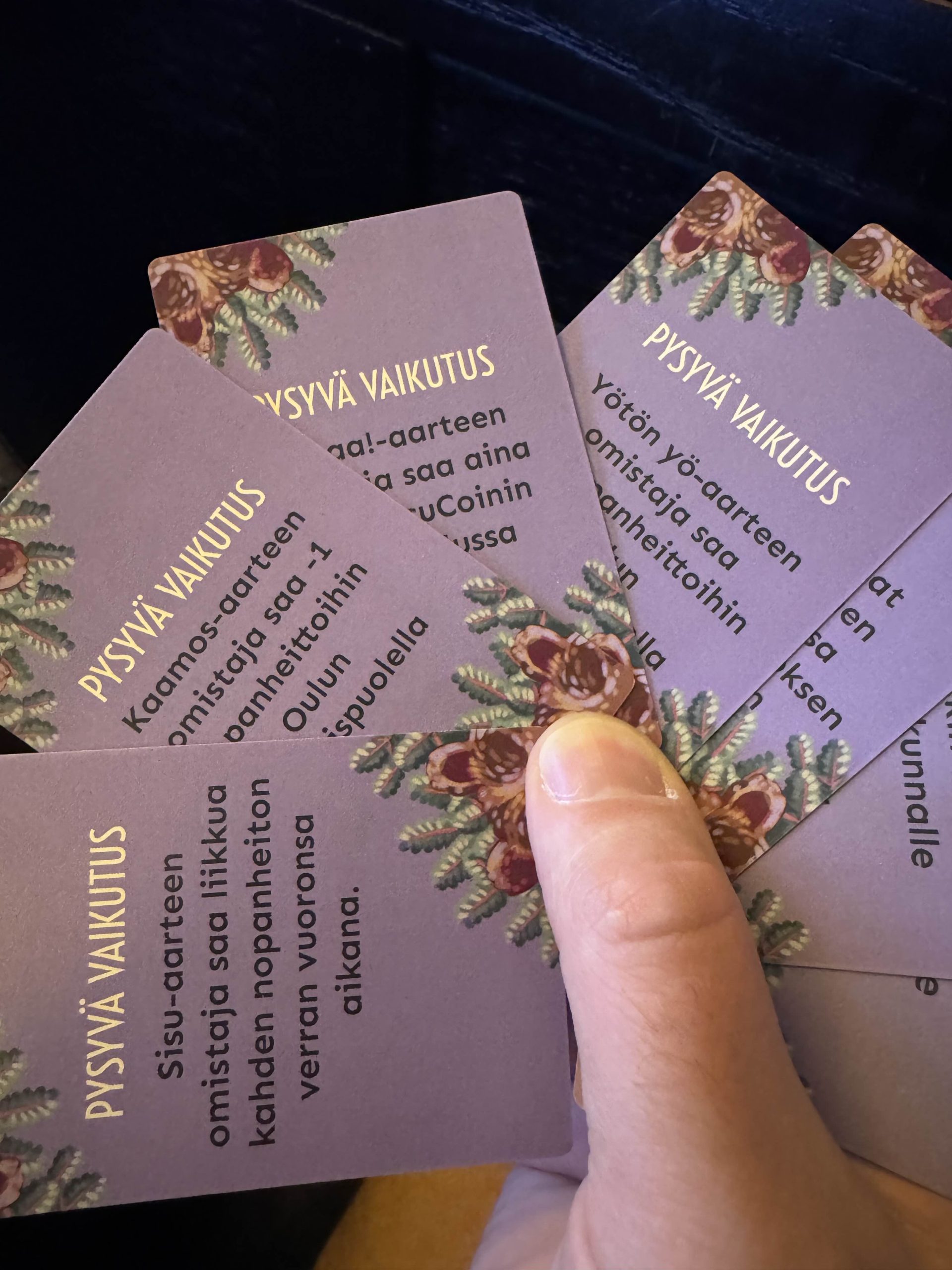 Pohjolan aarteet junior - Image 5