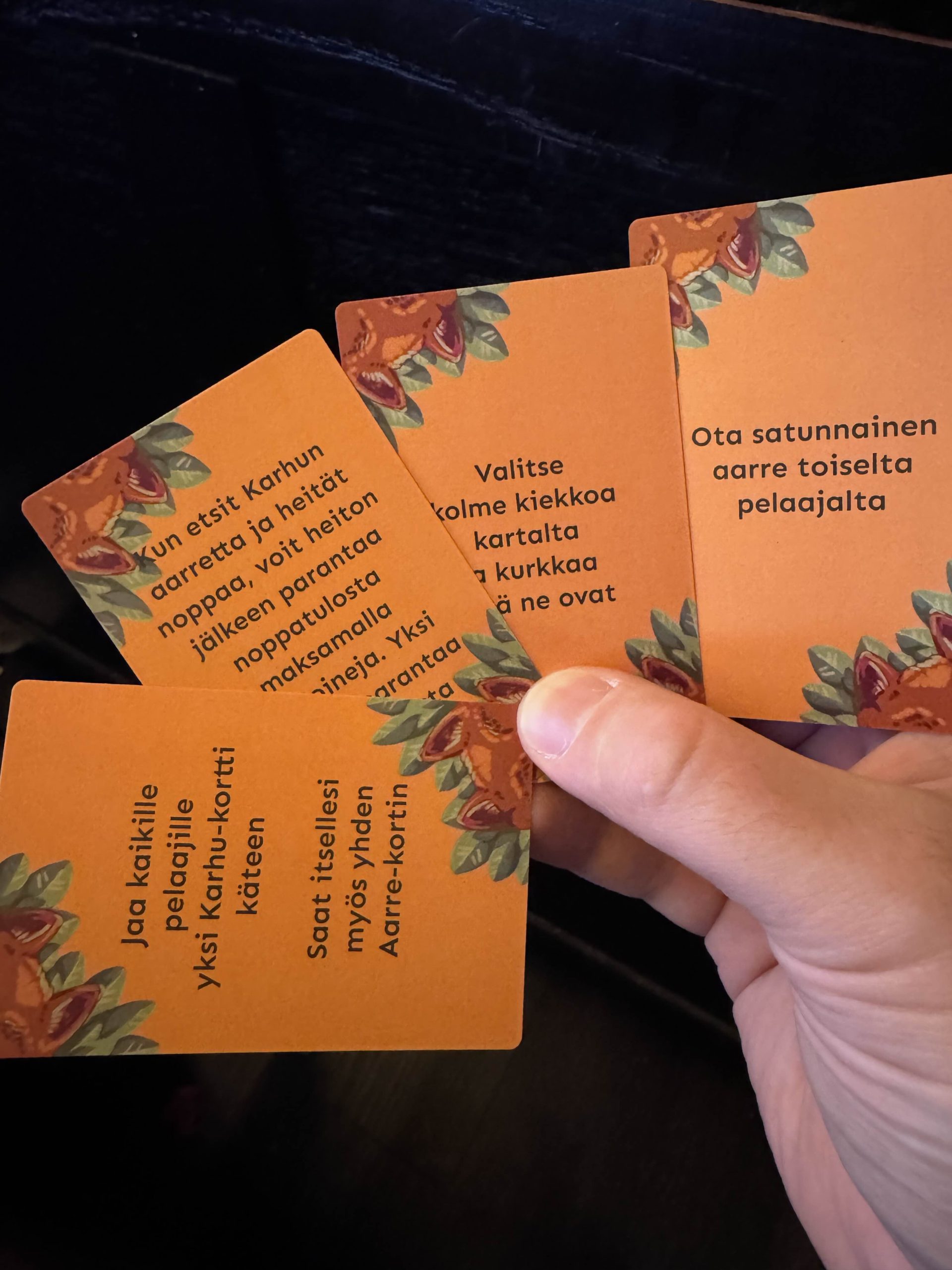 Pohjolan aarteet junior - Image 4